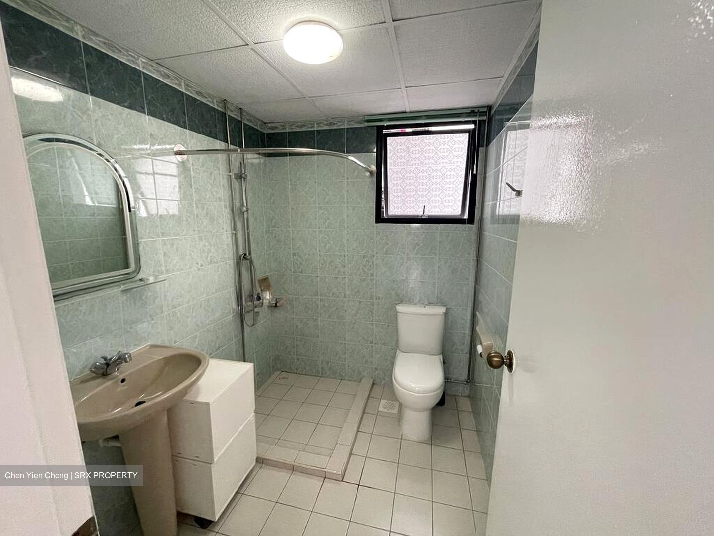 Central Green Condominium (D3), Condominium #499967761